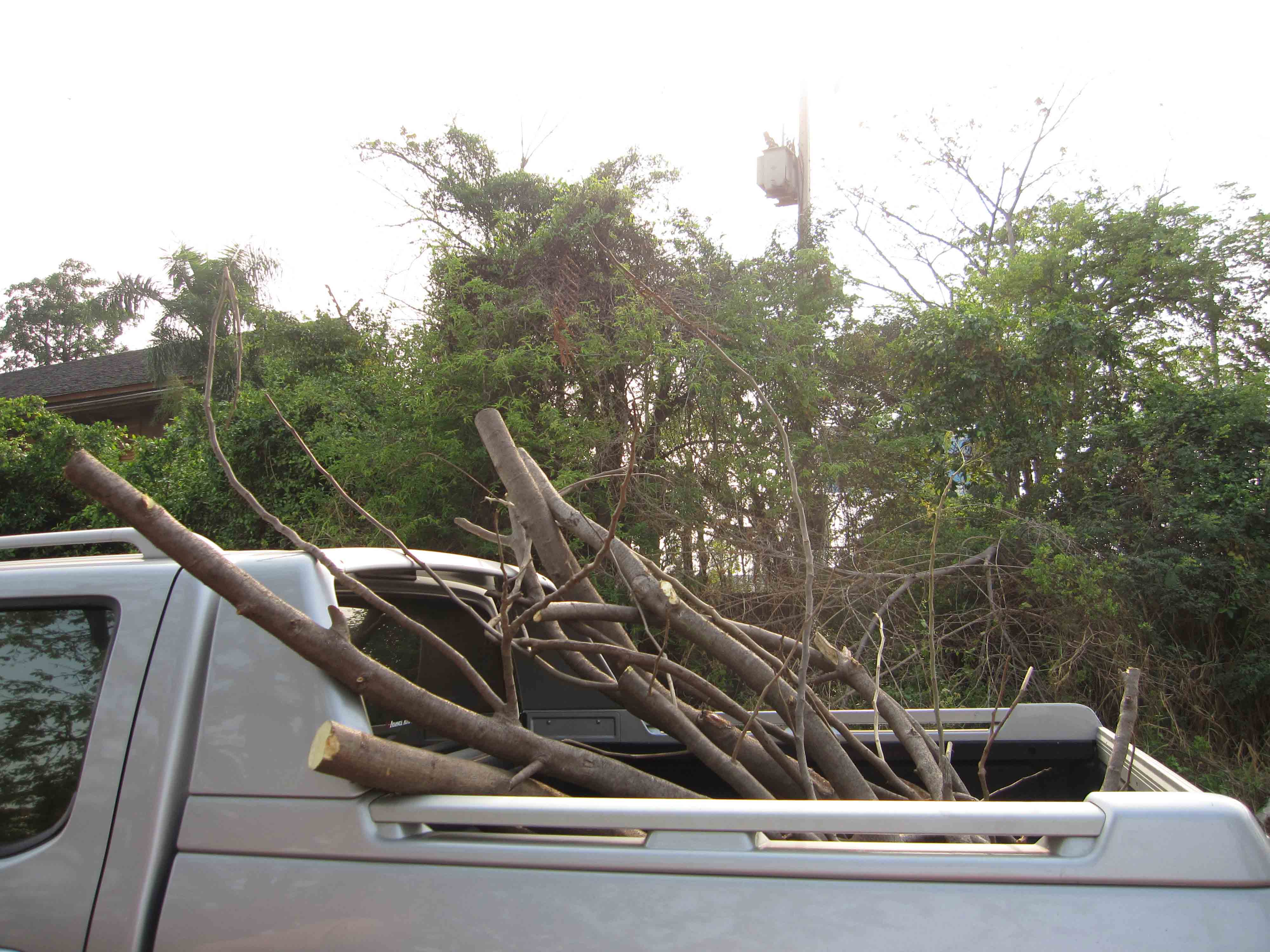 Blog Jour 4 branches voiture