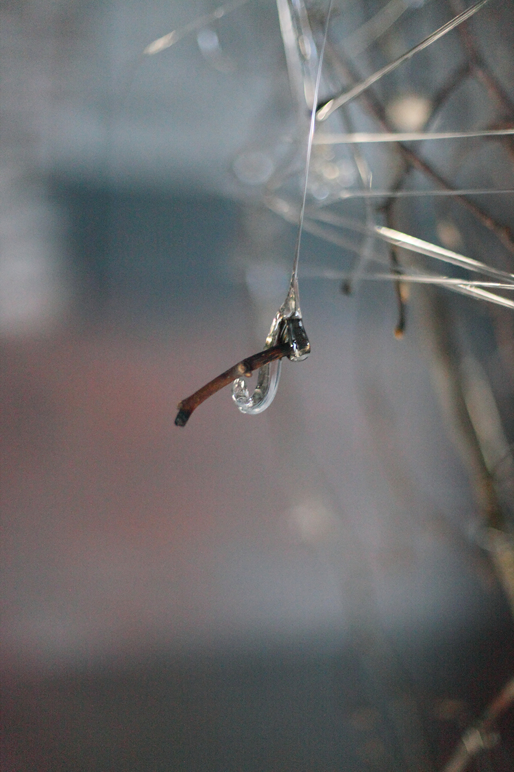 Cocoon Call in detail