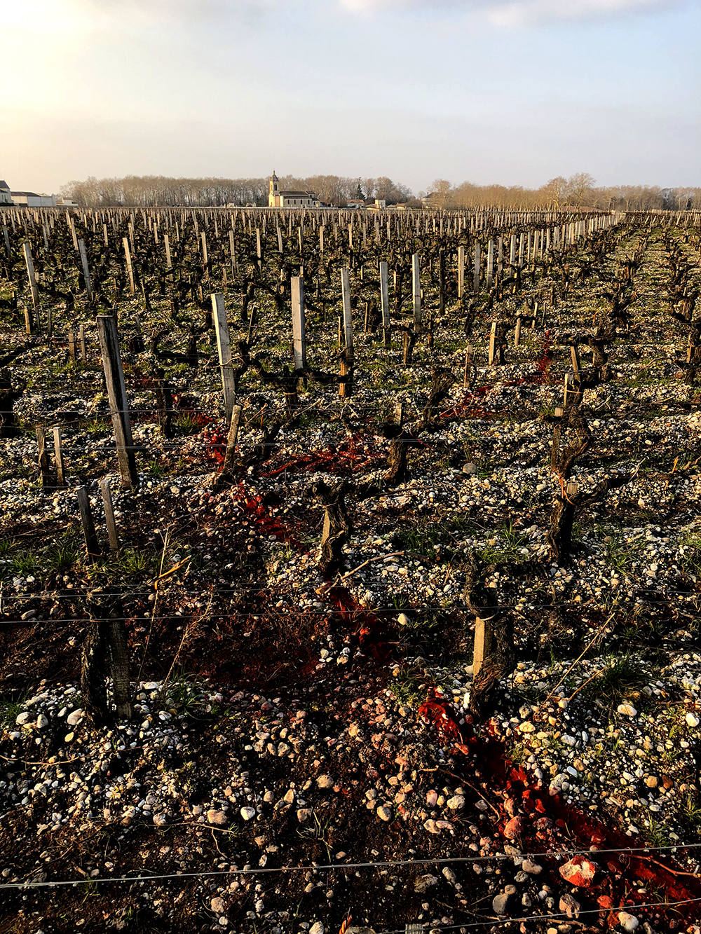 Seves brutes (Raw Saps) Future Red lignes