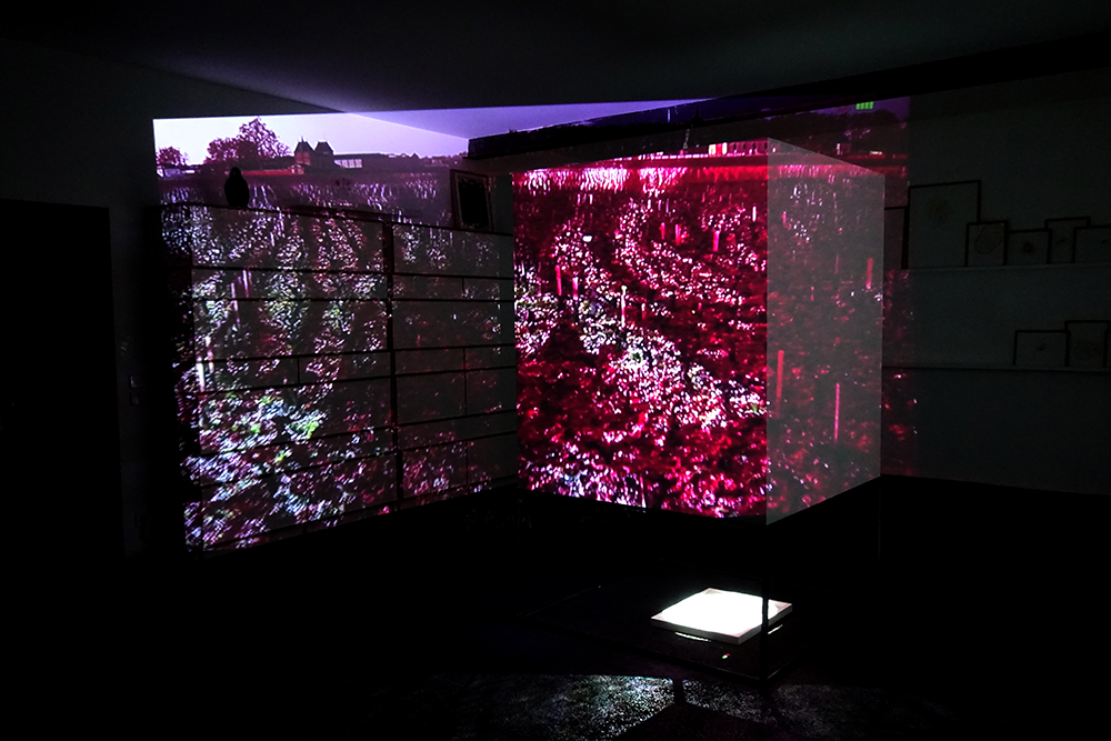 Seves Brutes (Raw Saps) - Future - projection on a video box