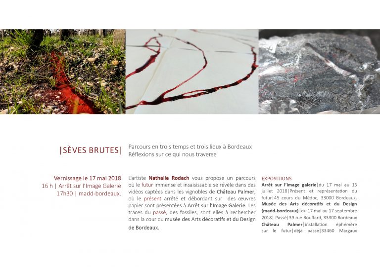 Invittaion exposition Seves Brutes 2018