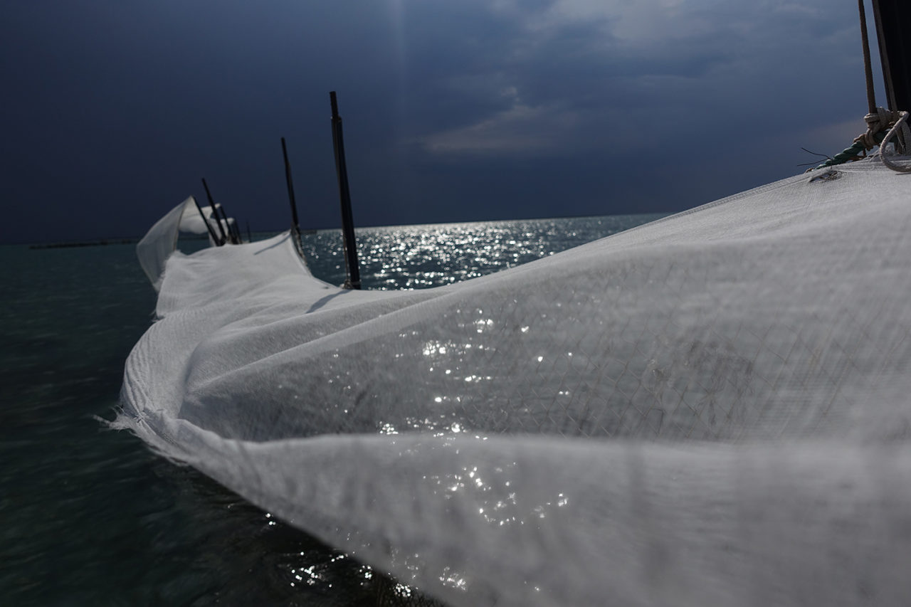 Veiled Charfia day 5 before the storm