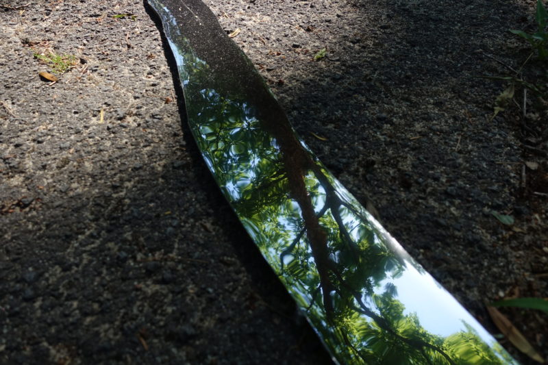 Tree reflecting in a mirror shadow Timisoara May 23rd 2022 9:38