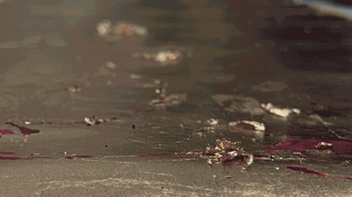 Panneau or 6 (même dans la nuit) 2024